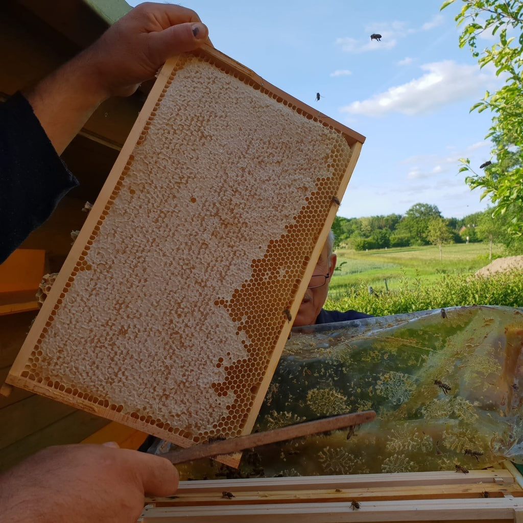 Wabenhonig im Holzrahmen 3200g – Naturbelassen & Roh aus der Türkei