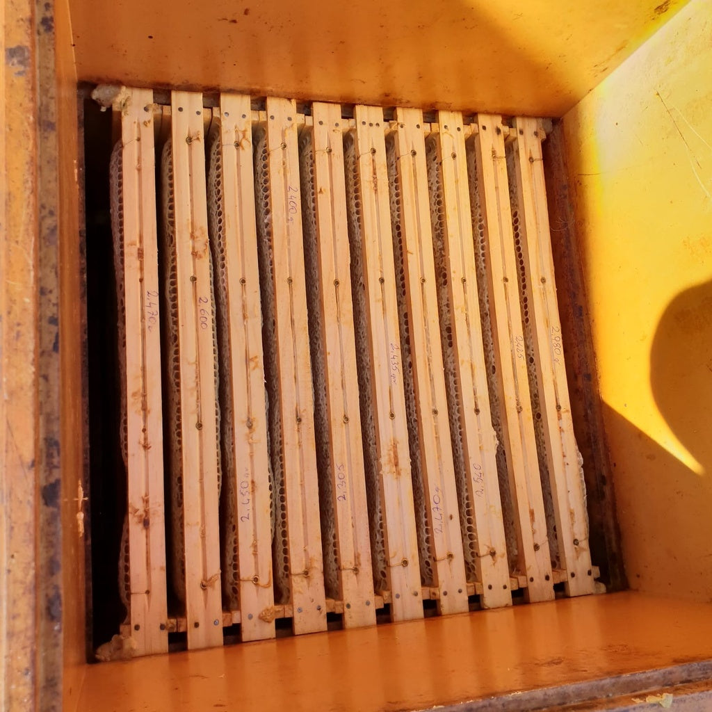 Wabenhonig im Holzrahmen 3200g – Naturbelassen & Roh aus der Türkei