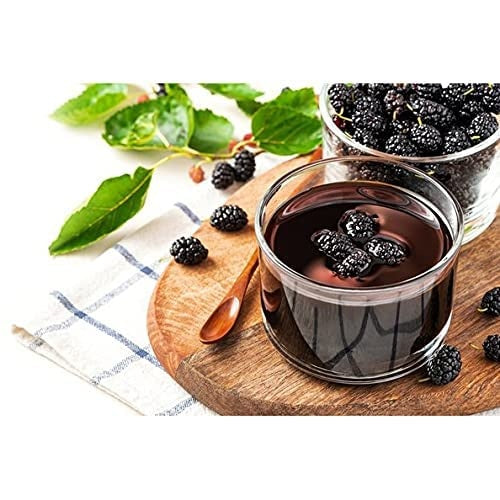 Naturyol Schwarzer Maulbeersirup – 100% Natürlich & Vegan