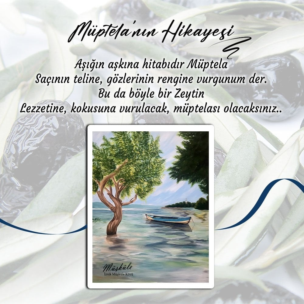 Zeytin Ana Müptela Schwarze Oliven – Premium Türkische Natur-Oliven