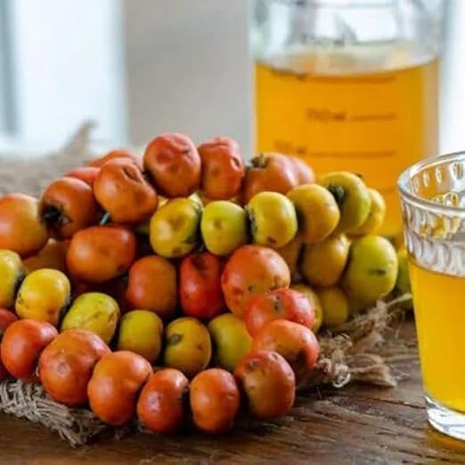 Naturyol Weißdornessig 500ml - Natürlich & Handverlesen