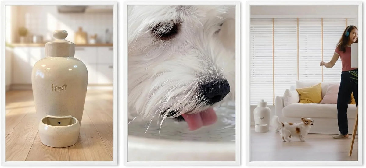 Premium Keramik Wassernapf für Hunde & Katzen mit Maifan-Stein